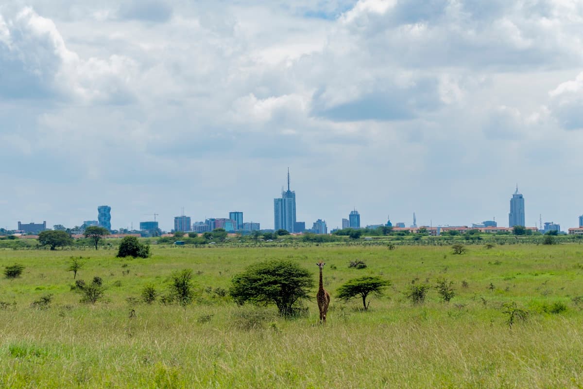 Hidden gem location in Nairobi, Kenya — off the beaten path