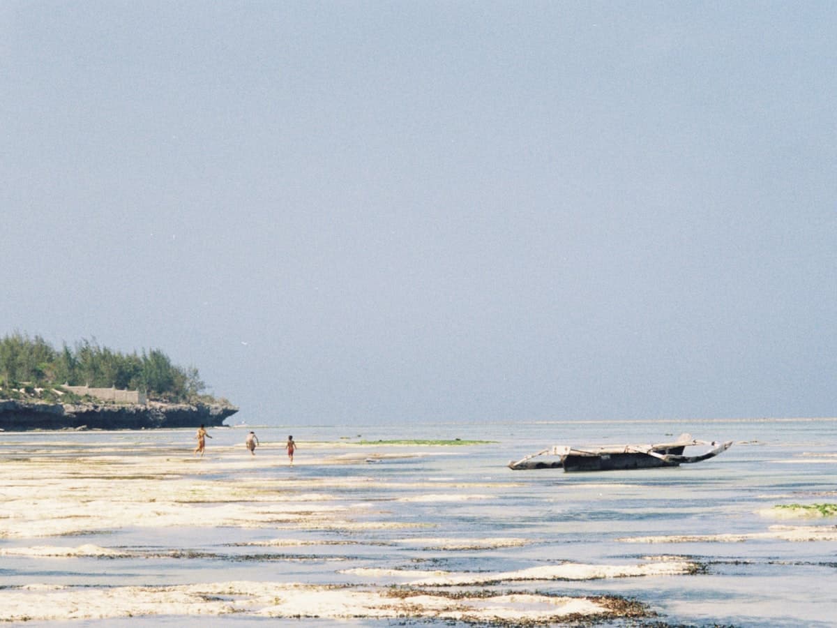 Scenic view of Zanzibar, Tanzania — best time to visit guide
