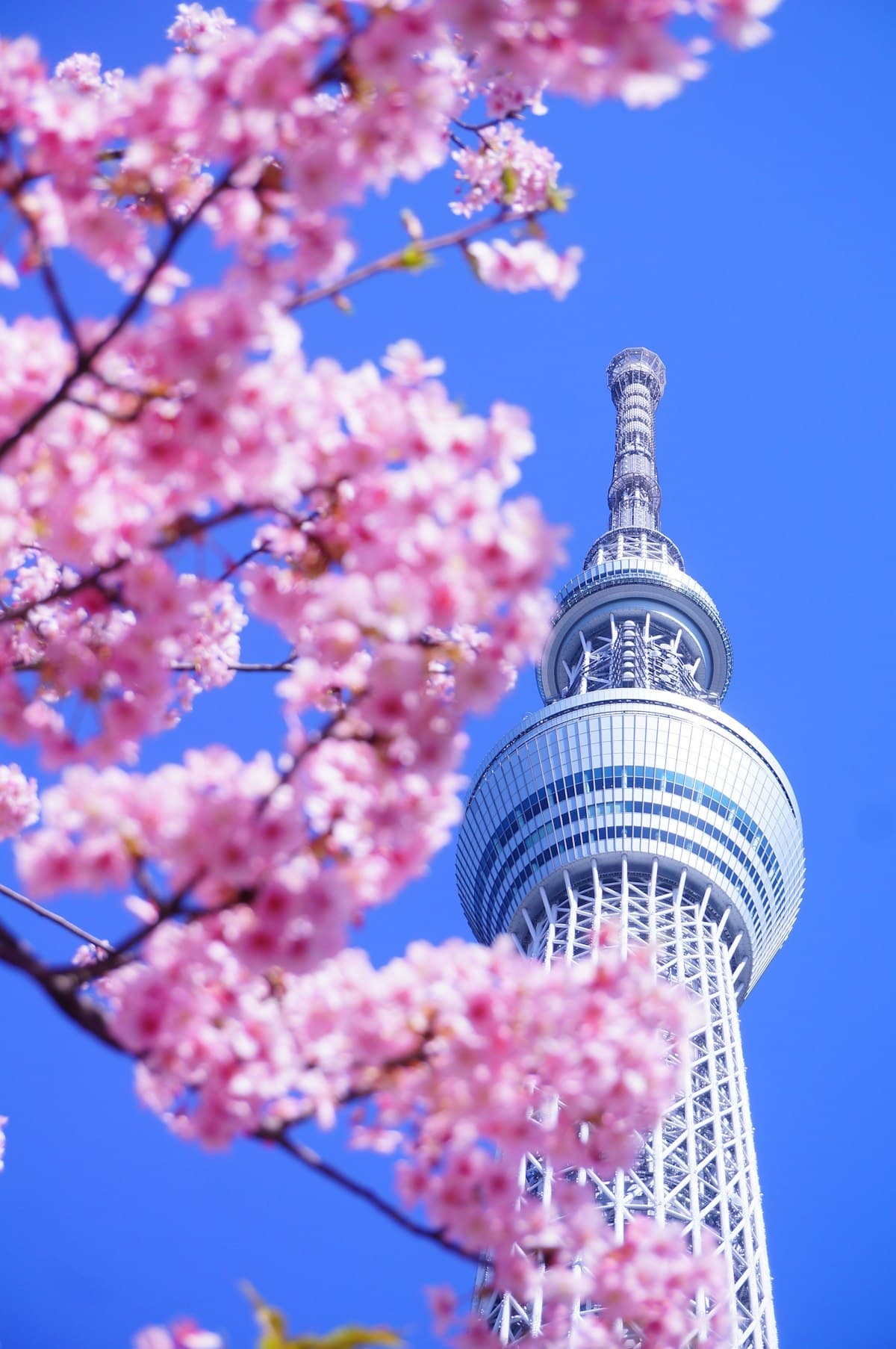 Tokyo, Japan — how many days to visit