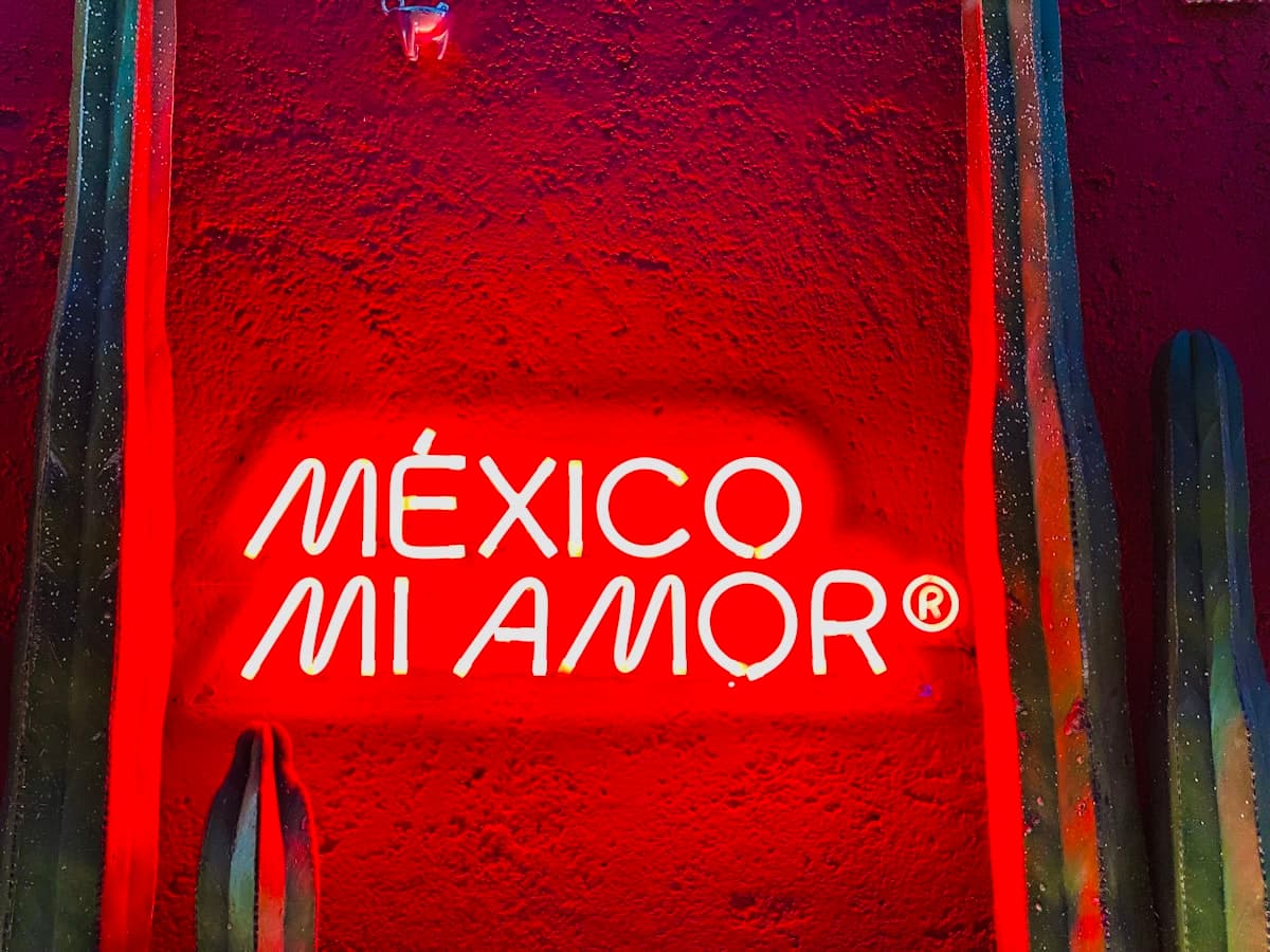 Mexico City at night — nightlife and evening activities guide