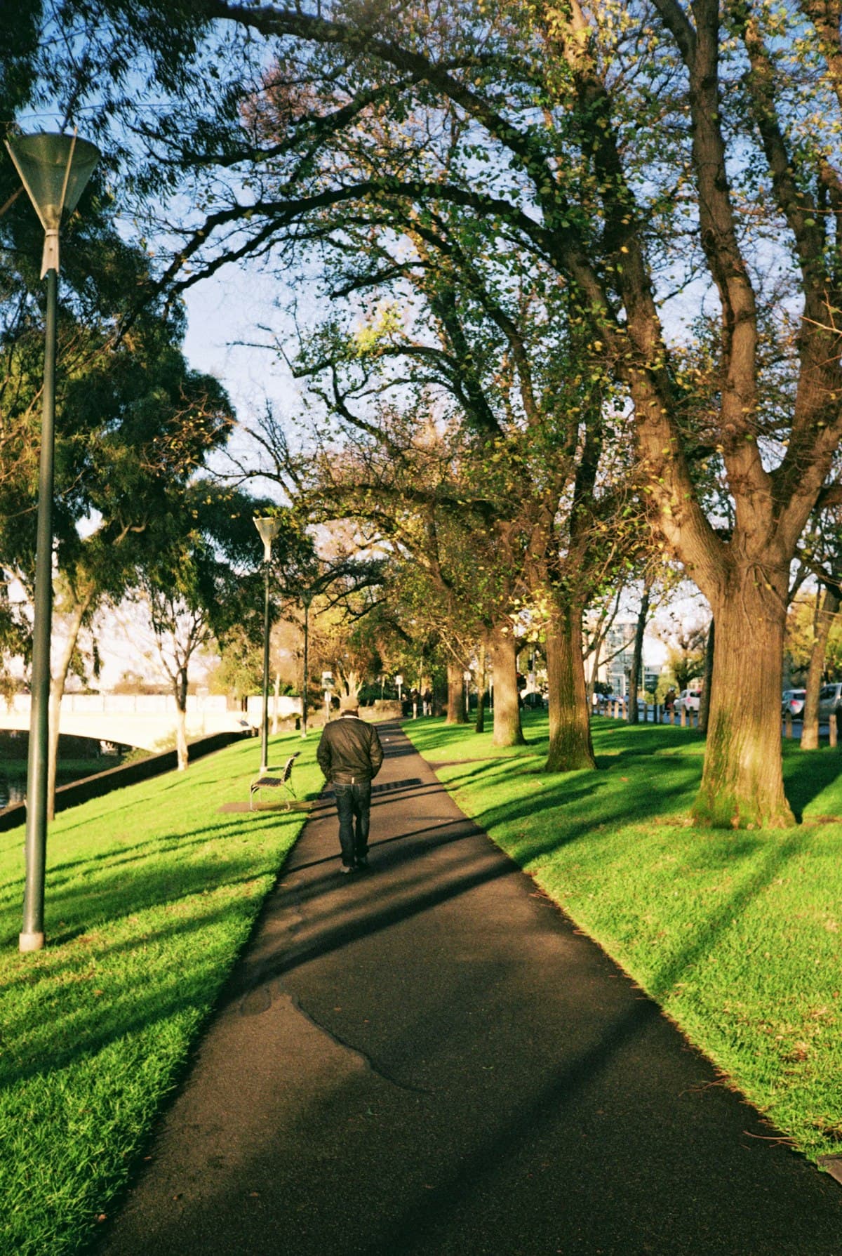 Free outdoor activity in Melbourne, Australia — budget travel guide