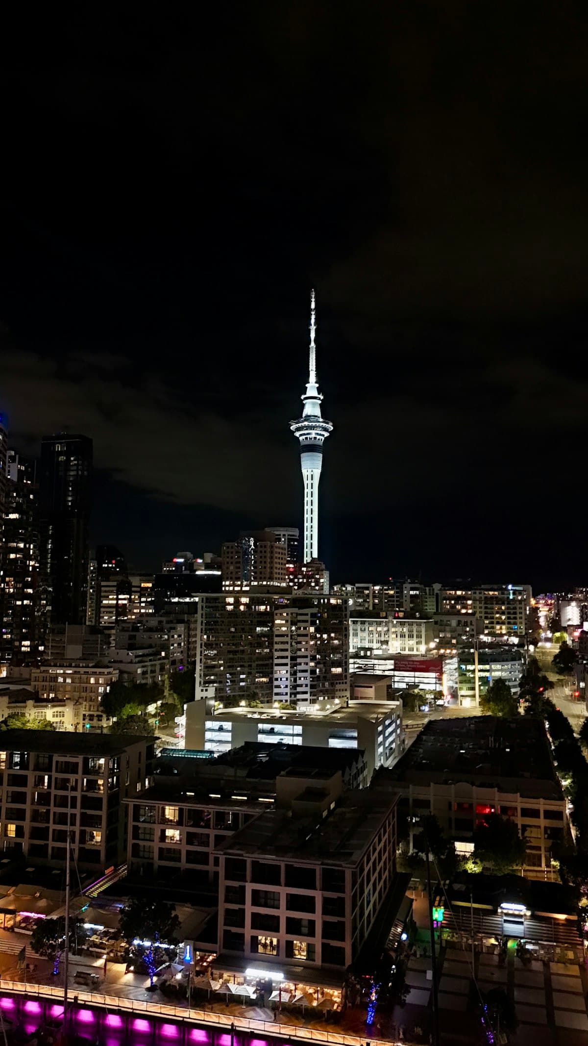 Auckland at night — nightlife and evening activities guide