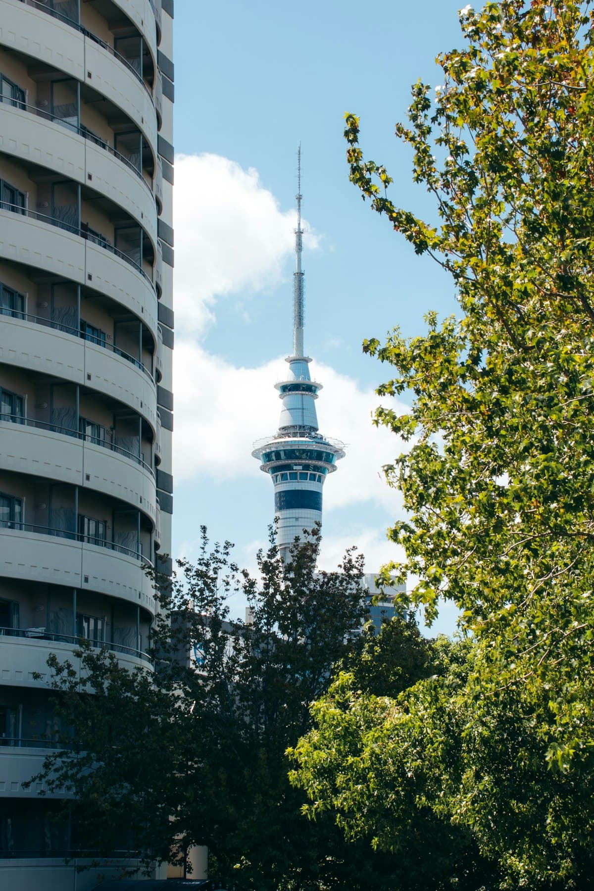 Charming neighborhood street in Auckland, New Zealand — where to stay guide
