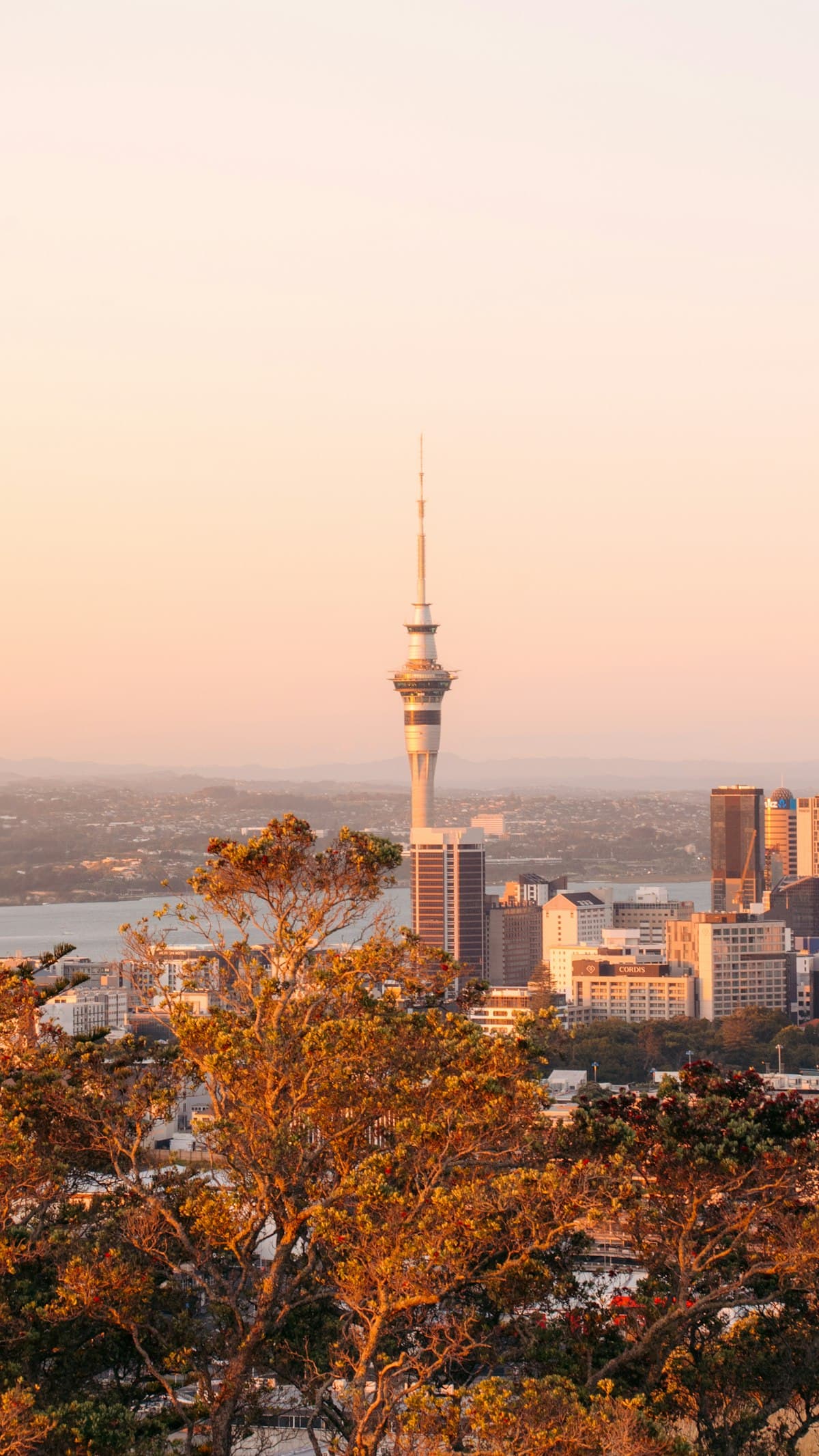 Packing essentials for a trip to Auckland, New Zealand