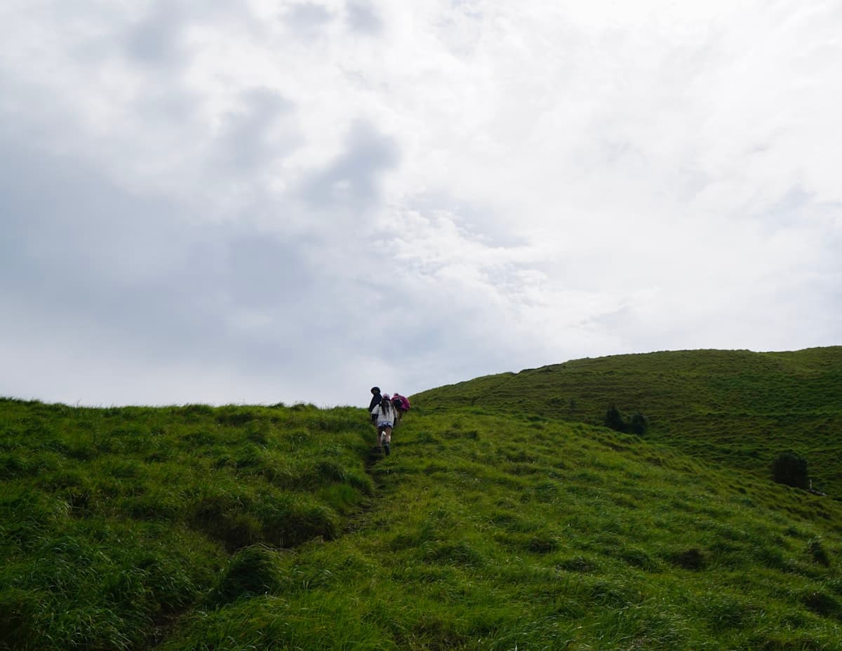 Scenic view of Auckland, New Zealand — best time to visit guide